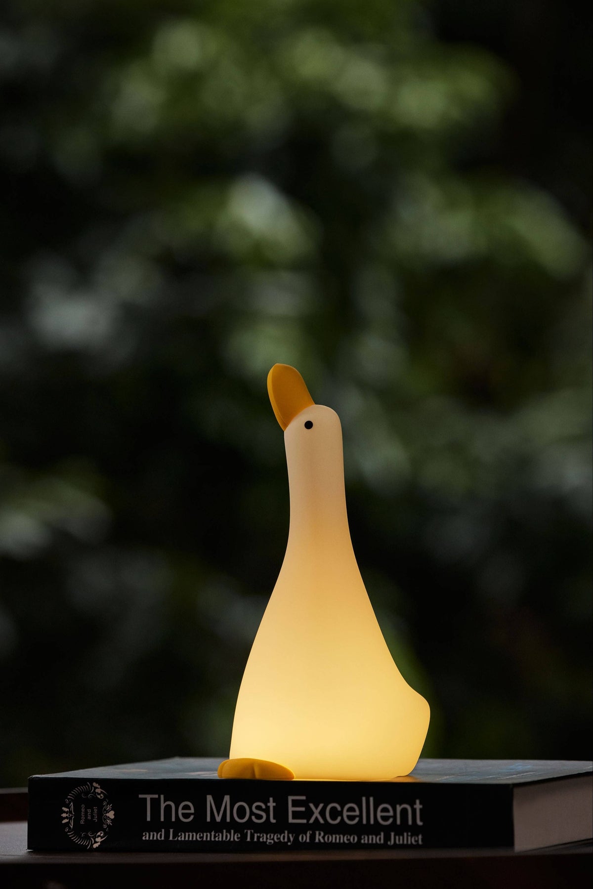 Goose silicone night light — view 6